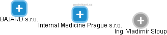 Internal Medicine Prague s.r.o. - náhled vizuálního zobrazení vztahů obchodního rejstříku