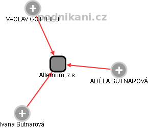 Alternum, z.s. - náhled vizuálního zobrazení vztahů obchodního rejstříku