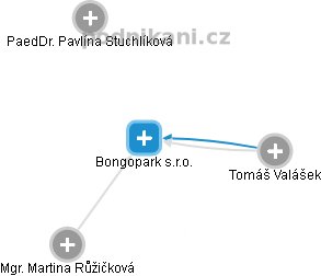 Bongopark s.r.o. - náhled vizuálního zobrazení vztahů obchodního rejstříku