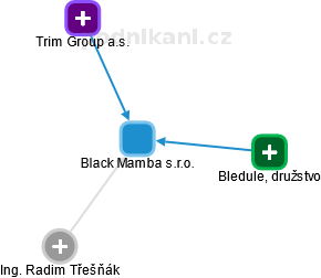 Black Mamba s.r.o. - náhled vizuálního zobrazení vztahů obchodního rejstříku