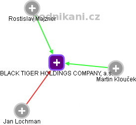 BLACK TIGER HOLDINGS COMPANY, a.s. - náhled vizuálního zobrazení vztahů obchodního rejstříku