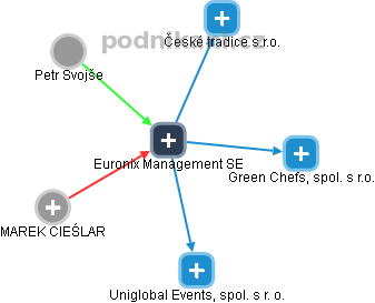Euronix Management SE - náhled vizuálního zobrazení vztahů obchodního rejstříku