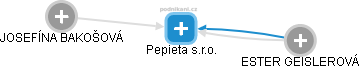 Pepieta s.r.o. - náhled vizuálního zobrazení vztahů obchodního rejstříku