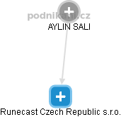 Runecast Czech Republic s.r.o. - náhled vizuálního zobrazení vztahů obchodního rejstříku