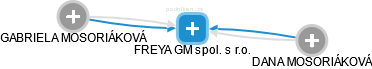 FREYA GM spol. s r.o. - náhled vizuálního zobrazení vztahů obchodního rejstříku
