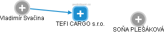 TEFI CARGO s.r.o. - náhled vizuálního zobrazení vztahů obchodního rejstříku