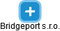 Bridgeport s.r.o. - náhled vizuálního zobrazení vztahů obchodního rejstříku