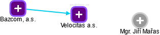 Velocitas a.s. - náhled vizuálního zobrazení vztahů obchodního rejstříku