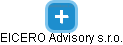 EICERO Advisory s.r.o. - náhled vizuálního zobrazení vztahů obchodního rejstříku