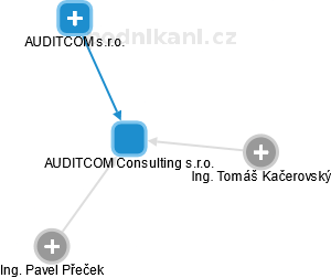 AUDITCOM Consulting s.r.o. - náhled vizuálního zobrazení vztahů obchodního rejstříku
