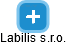 Labilis s.r.o. - náhled vizuálního zobrazení vztahů obchodního rejstříku