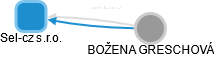 Sel-cz s.r.o. - náhled vizuálního zobrazení vztahů obchodního rejstříku