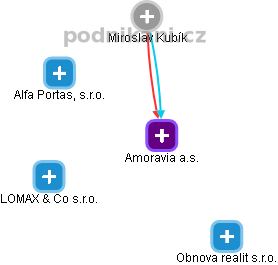 Amoravia a.s. - náhled vizuálního zobrazení vztahů obchodního rejstříku