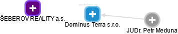 Dominus Terra s.r.o. - náhled vizuálního zobrazení vztahů obchodního rejstříku