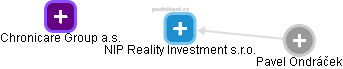 NIP Reality Investment s.r.o. - náhled vizuálního zobrazení vztahů obchodního rejstříku