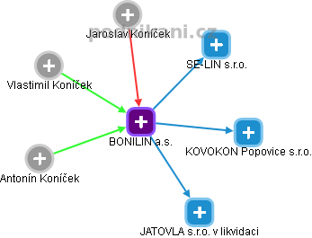 BONILIN a.s. - náhled vizuálního zobrazení vztahů obchodního rejstříku