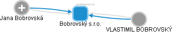 Bobrovský s.r.o. - náhled vizuálního zobrazení vztahů obchodního rejstříku