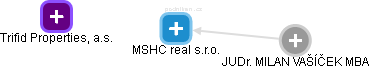MSHC real s.r.o. - náhled vizuálního zobrazení vztahů obchodního rejstříku