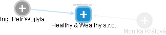 Healthy & Wealthy s.r.o. - náhled vizuálního zobrazení vztahů obchodního rejstříku