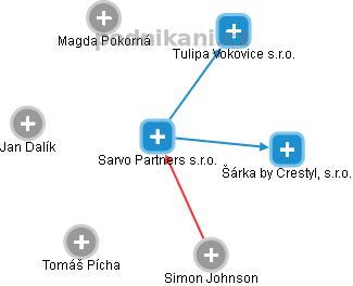 Sarvo Partners s.r.o. - náhled vizuálního zobrazení vztahů obchodního rejstříku