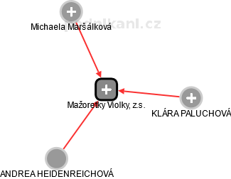 Mažoretky Violky, z.s. - náhled vizuálního zobrazení vztahů obchodního rejstříku