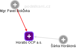 Horatio OCP a.s. - náhled vizuálního zobrazení vztahů obchodního rejstříku