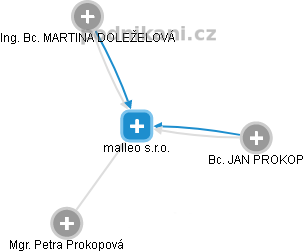 malleo s.r.o. - náhled vizuálního zobrazení vztahů obchodního rejstříku