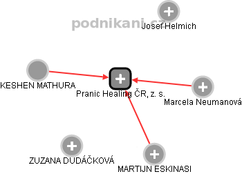 Pranic Healing ČR, z. s. - náhled vizuálního zobrazení vztahů obchodního rejstříku