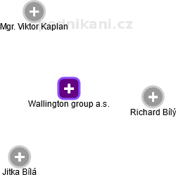 Wallington group a.s. - náhled vizuálního zobrazení vztahů obchodního rejstříku