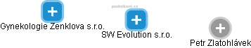 SW Evolution s.r.o. - náhled vizuálního zobrazení vztahů obchodního rejstříku