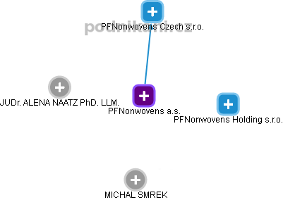 PFNonwovens a.s. - náhled vizuálního zobrazení vztahů obchodního rejstříku