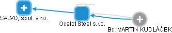 Ocelot Steel s.r.o. - náhled vizuálního zobrazení vztahů obchodního rejstříku