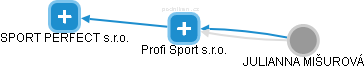 Profi Sport s.r.o. - náhled vizuálního zobrazení vztahů obchodního rejstříku