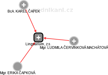 Linguarium, z.s. - náhled vizuálního zobrazení vztahů obchodního rejstříku