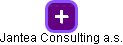 Jantea Consulting a.s. - náhled vizuálního zobrazení vztahů obchodního rejstříku