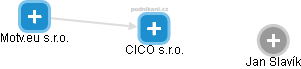CICO s.r.o. - náhled vizuálního zobrazení vztahů obchodního rejstříku