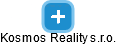 Kosmos Reality s.r.o. - náhled vizuálního zobrazení vztahů obchodního rejstříku