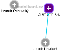 Diamonth a.s. - náhled vizuálního zobrazení vztahů obchodního rejstříku