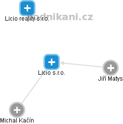 Licio s.r.o. - náhled vizuálního zobrazení vztahů obchodního rejstříku