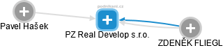 PZ Real Develop s.r.o. - náhled vizuálního zobrazení vztahů obchodního rejstříku