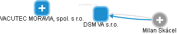DSM VA s.r.o. - náhled vizuálního zobrazení vztahů obchodního rejstříku