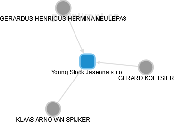 Young Stock Jasenna s.r.o. - náhled vizuálního zobrazení vztahů obchodního rejstříku
