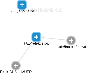 FALK efekt s.r.o. - náhled vizuálního zobrazení vztahů obchodního rejstříku