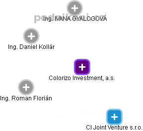 Colorizo Investment, a.s. - náhled vizuálního zobrazení vztahů obchodního rejstříku