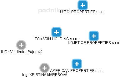 TOMASIN HOLDING s.r.o. - náhled vizuálního zobrazení vztahů obchodního rejstříku