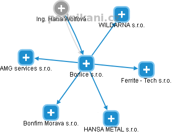 Borlice s.r.o. - náhled vizuálního zobrazení vztahů obchodního rejstříku