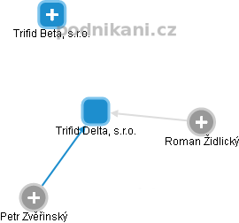 Trifid Delta, s.r.o. - náhled vizuálního zobrazení vztahů obchodního rejstříku
