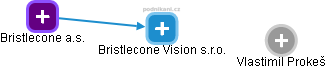 Bristlecone Vision s.r.o. - náhled vizuálního zobrazení vztahů obchodního rejstříku