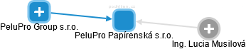 PeluPro Papírenská s.r.o. - náhled vizuálního zobrazení vztahů obchodního rejstříku