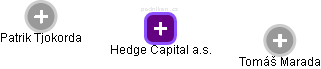Hedge Capital a.s. - náhled vizuálního zobrazení vztahů obchodního rejstříku